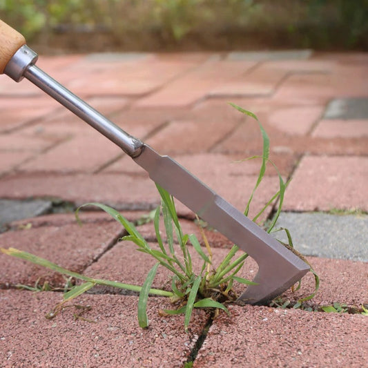 CrackWeed Remover